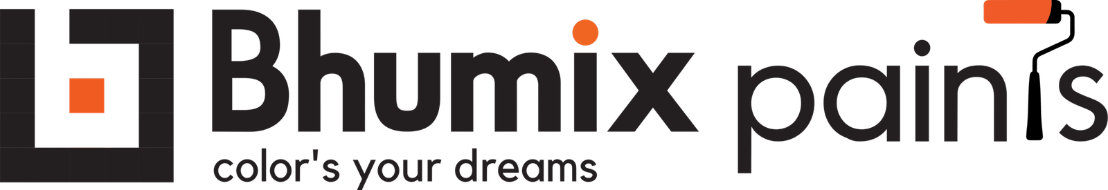 bhumix paint